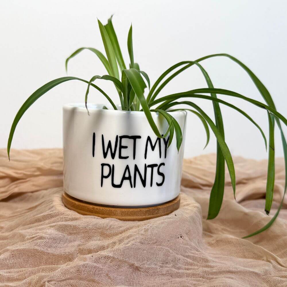 Plant Pots