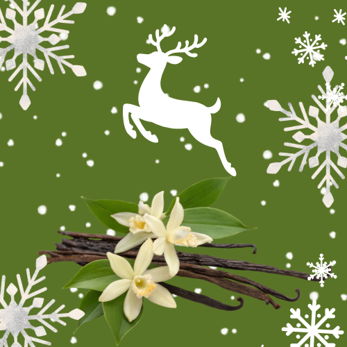 Vanilla Bean Noel (type) Lotion