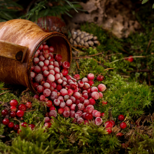 Cranberry Woods Lotion