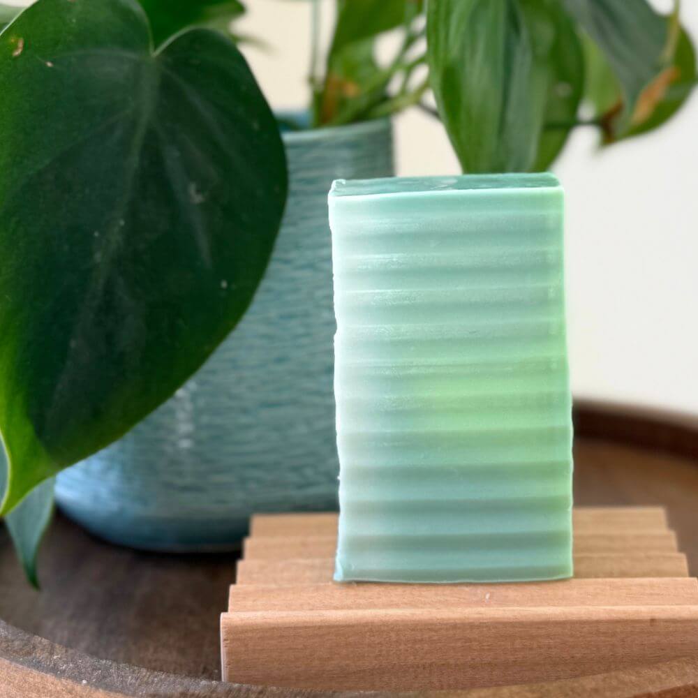 Eucalyptus Forest Goat Milk Soap