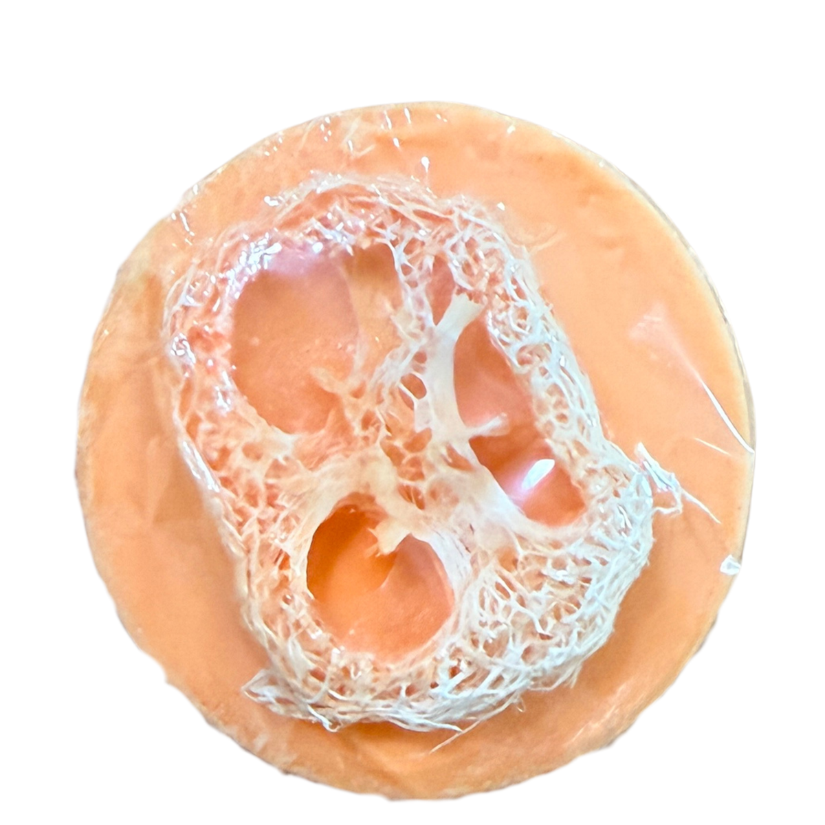Loofah Goat Milk Soap