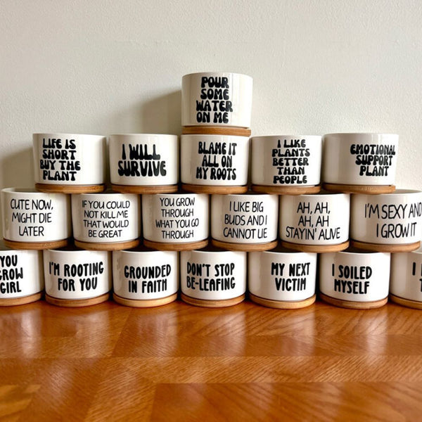 my next victim plant pot Plant Pots